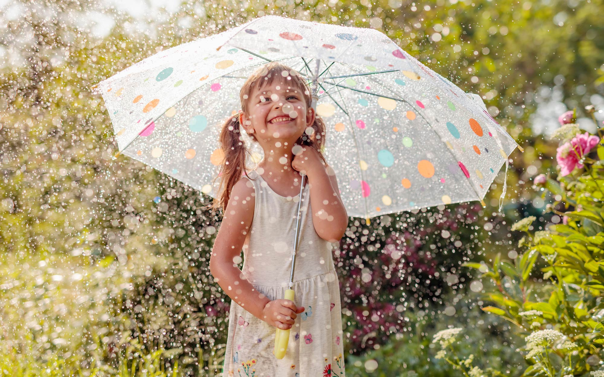 media.SlideShopping-CFH-Tintoretto-Cervia