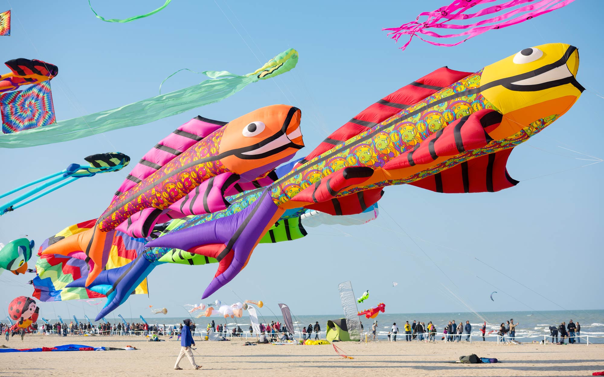 media.SlideAquiloni-CFH-Tintoretto-Cervia