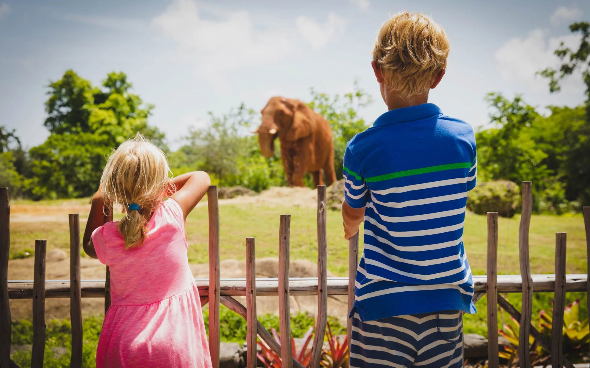 media.SlideZoo-Safari-CFH-Tintoretto-Cervia